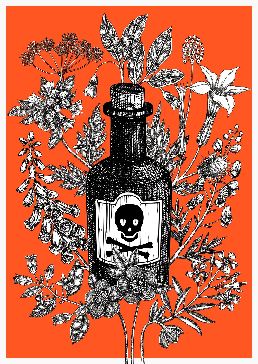 Halloween poster design. Witch party invitation template.Witchcraft background. Vintage apothecary card template. Poisonous plants hand drawn illustration. NOT AI generated Illustration